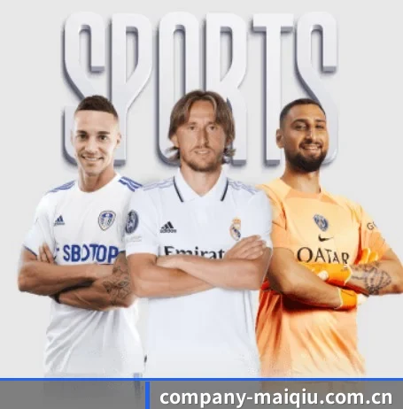company-maiqiu.com.cn的方向